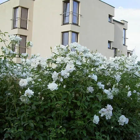 Hotel Grodzki