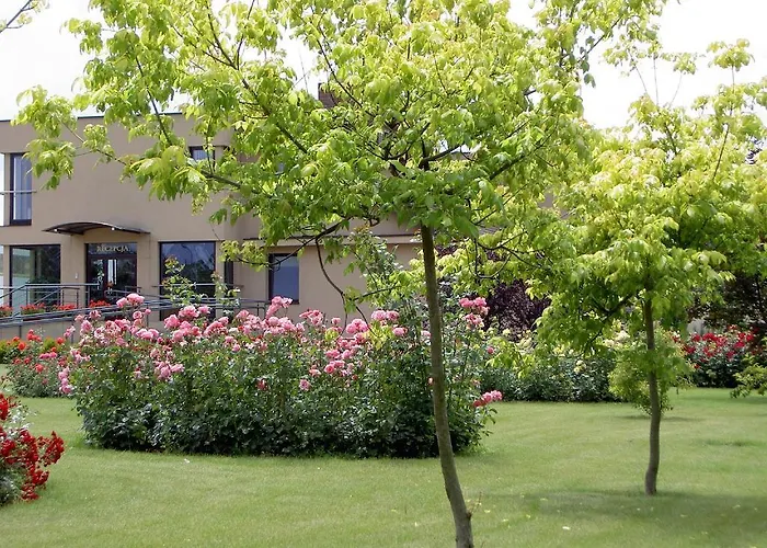 格罗兹基酒店 3*