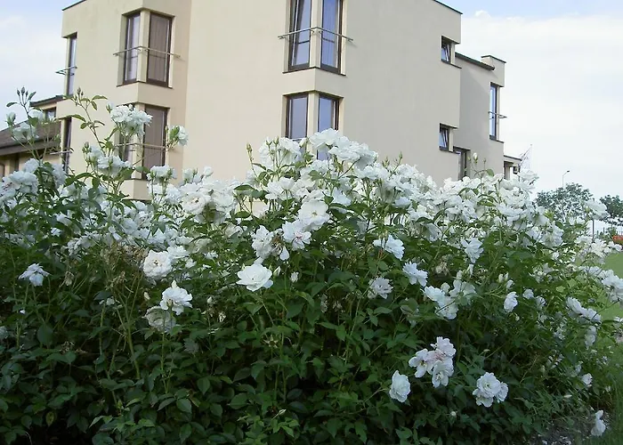 酒店 格罗兹基酒店